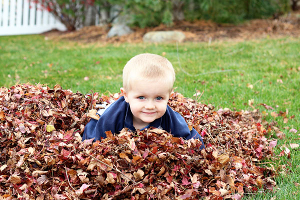 Fall Leaves Blog 002